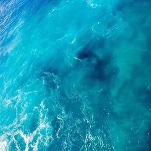 Meet your Posher, Bryah